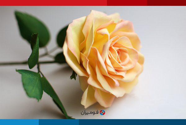 الأعمال اليدوية وصناعة الزهور من فوم