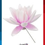 Flower-making Foam, Blender Foam