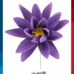 Flower-making Foam, Blender Foam