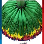 فوم برس کارواش